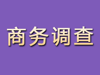 隆化商务调查